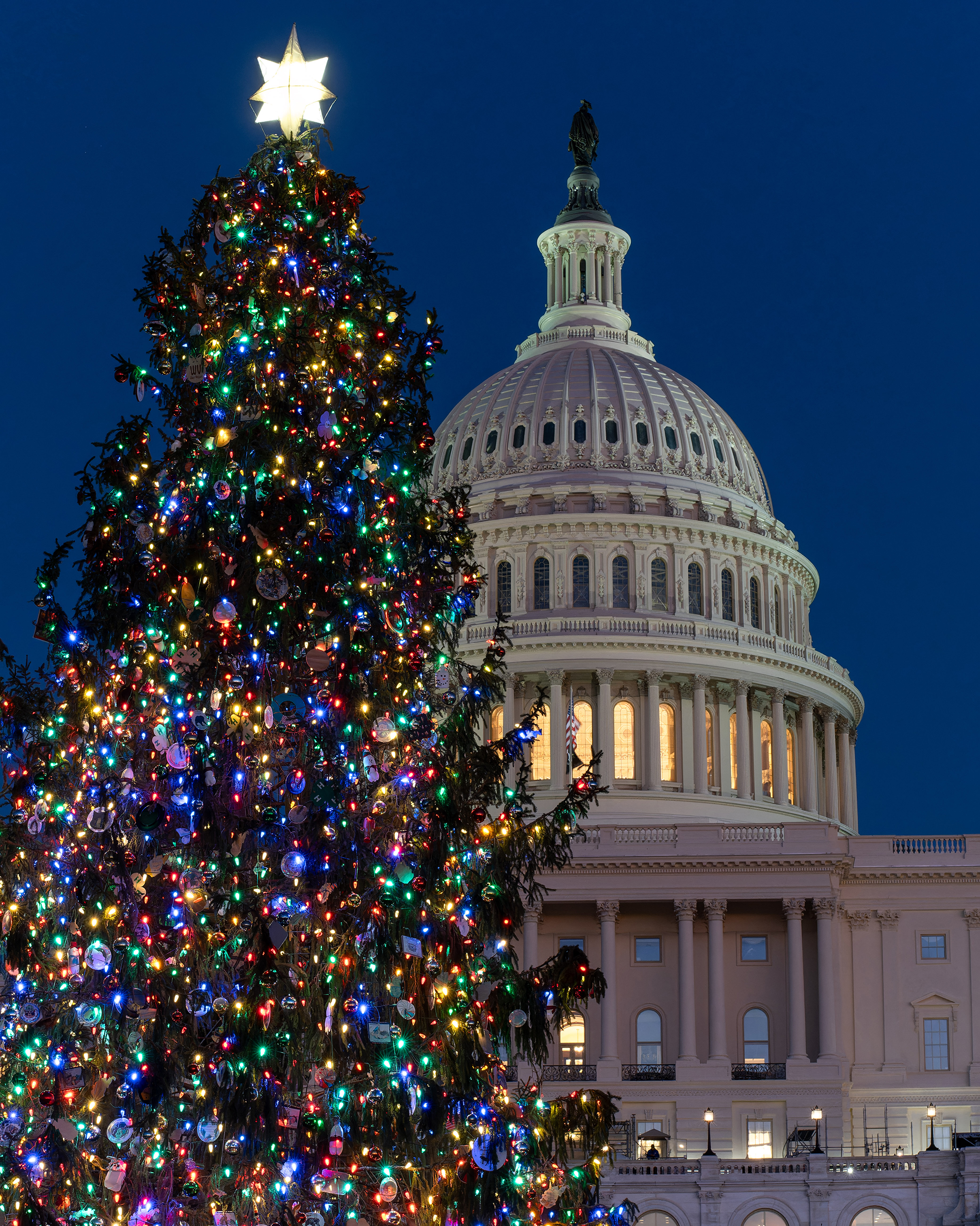 US Capitol Christmas Tree